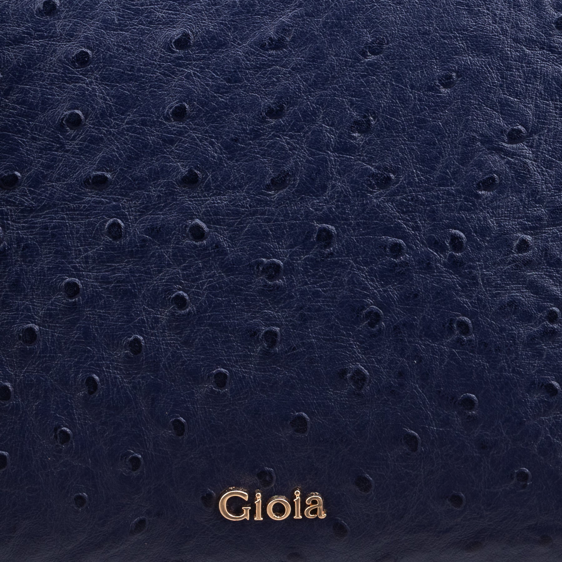 Celine Tote#Color_Navy