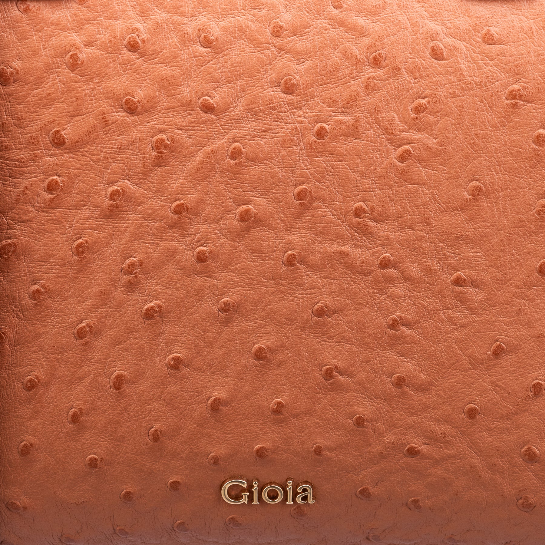 Celine Tote#Color_Tan