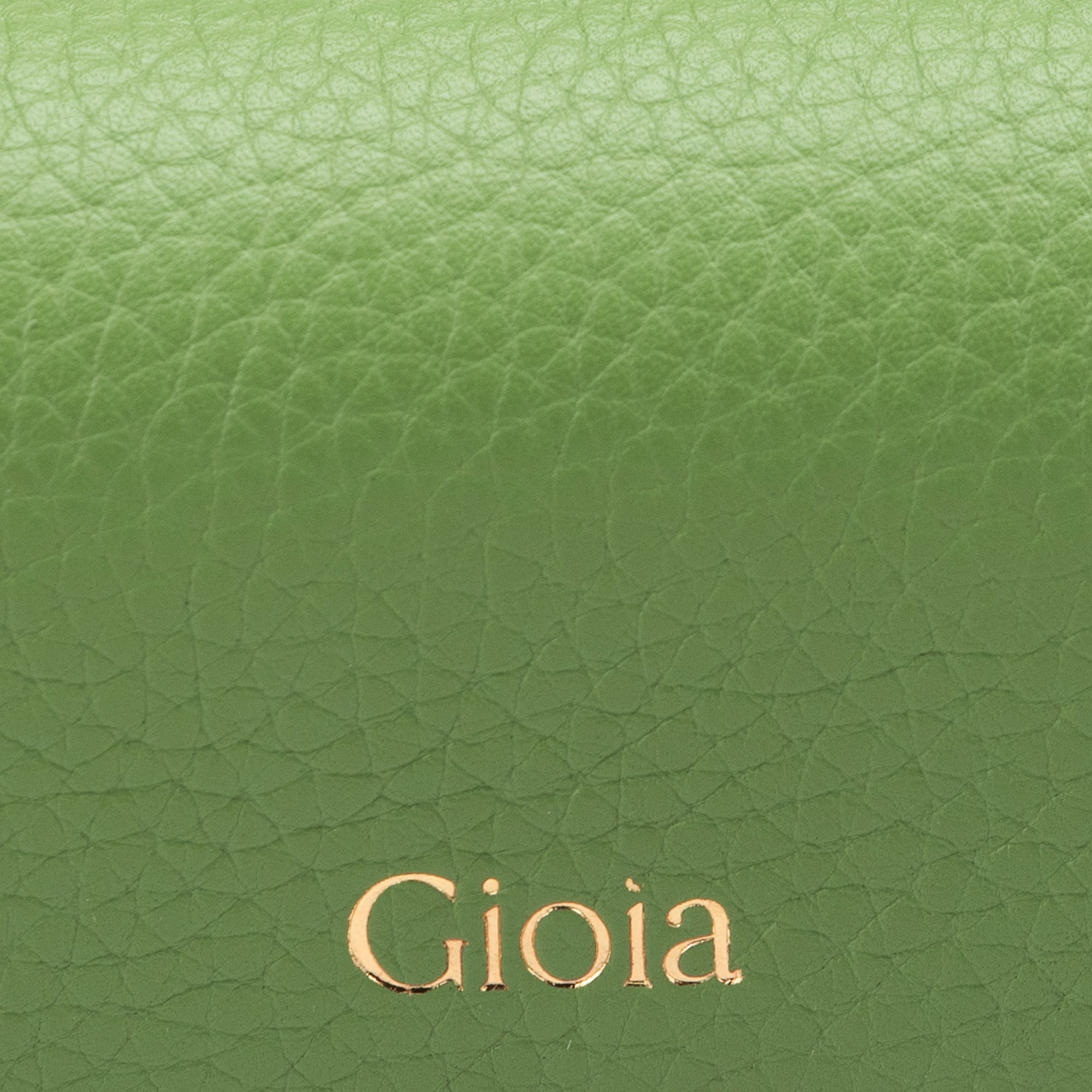 Luca Ⅱ Spectacle Case#Color_Green