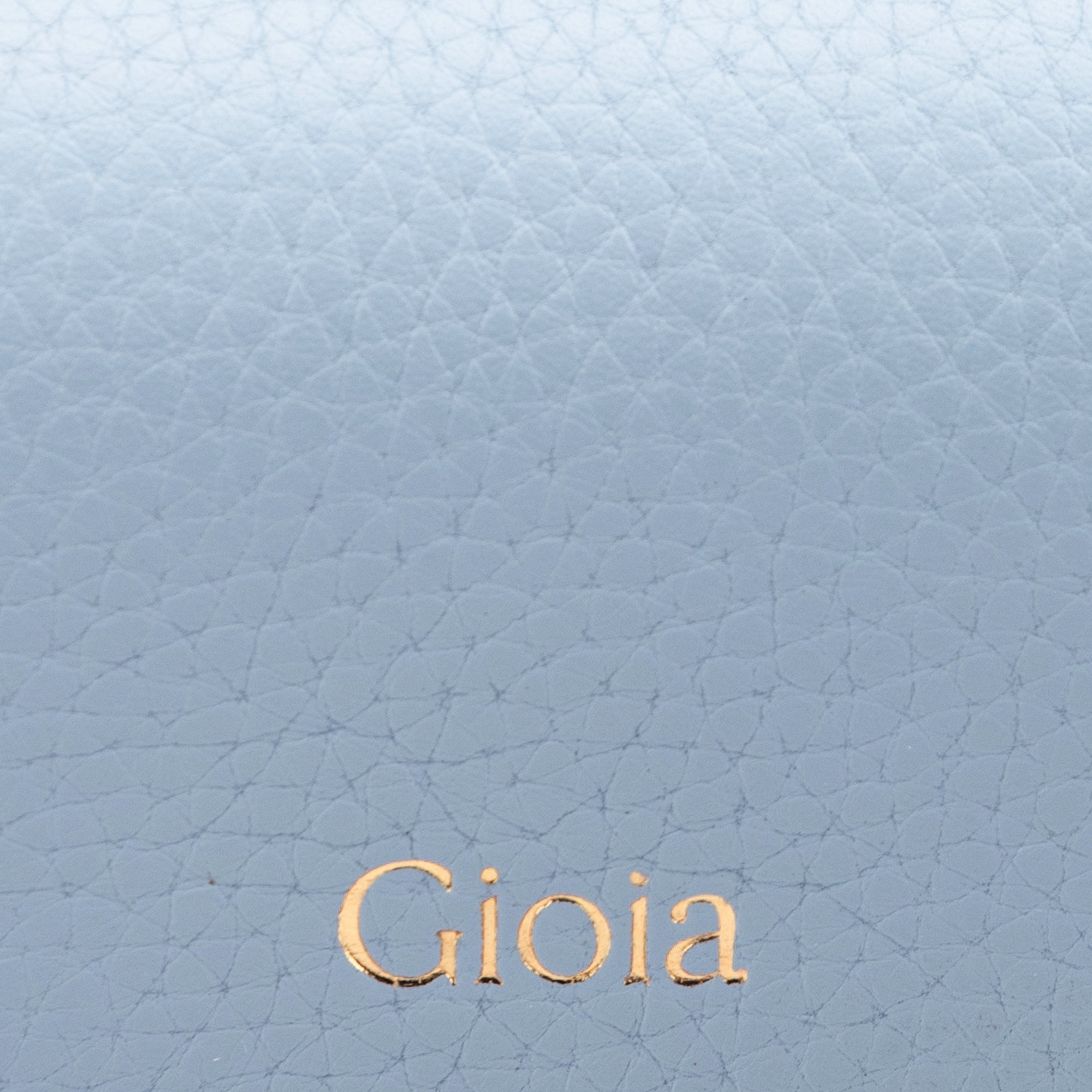 Luca Ⅱ Spectacle Case#Color_Light Blue