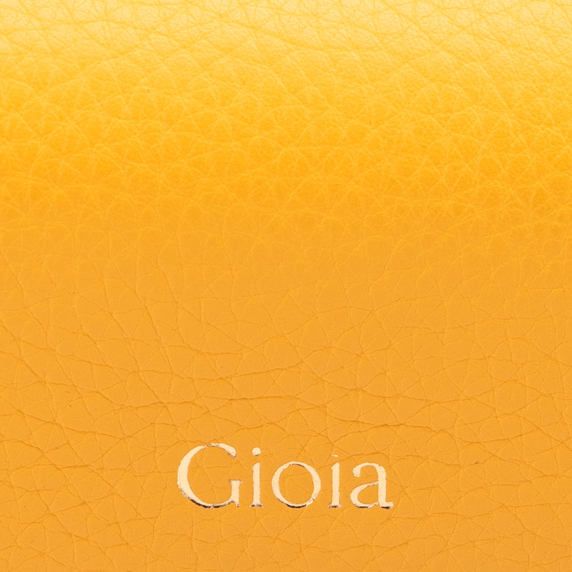 Luca Ⅱ Spectacle Case#Color_Yellow