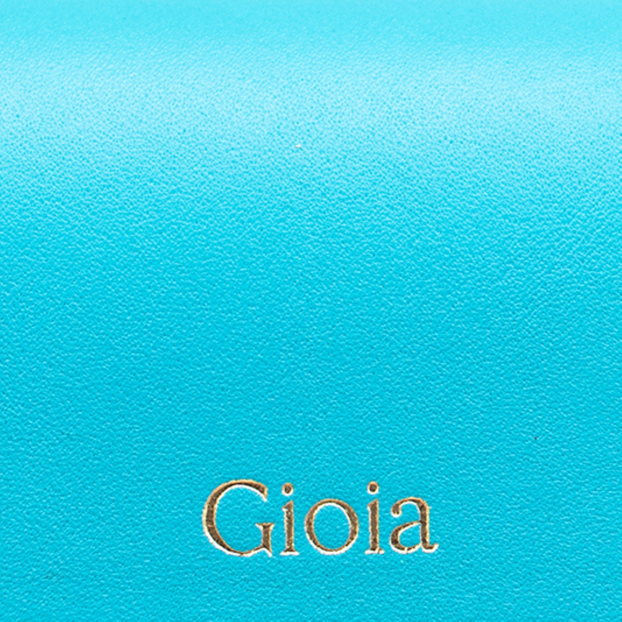 Luca Spectacle Case#Color_Aqua