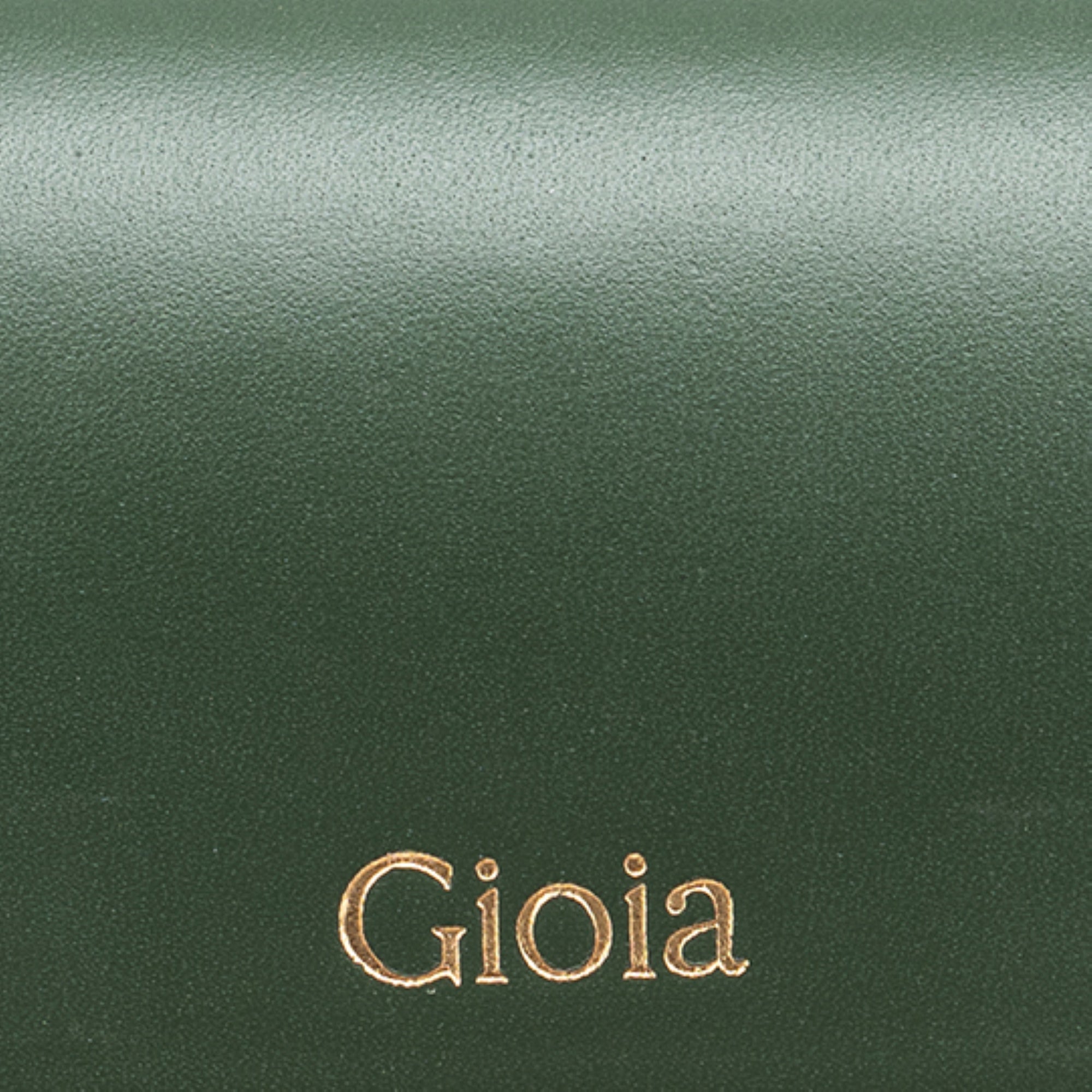 Luca Spectacle Case#Color_Dark Green