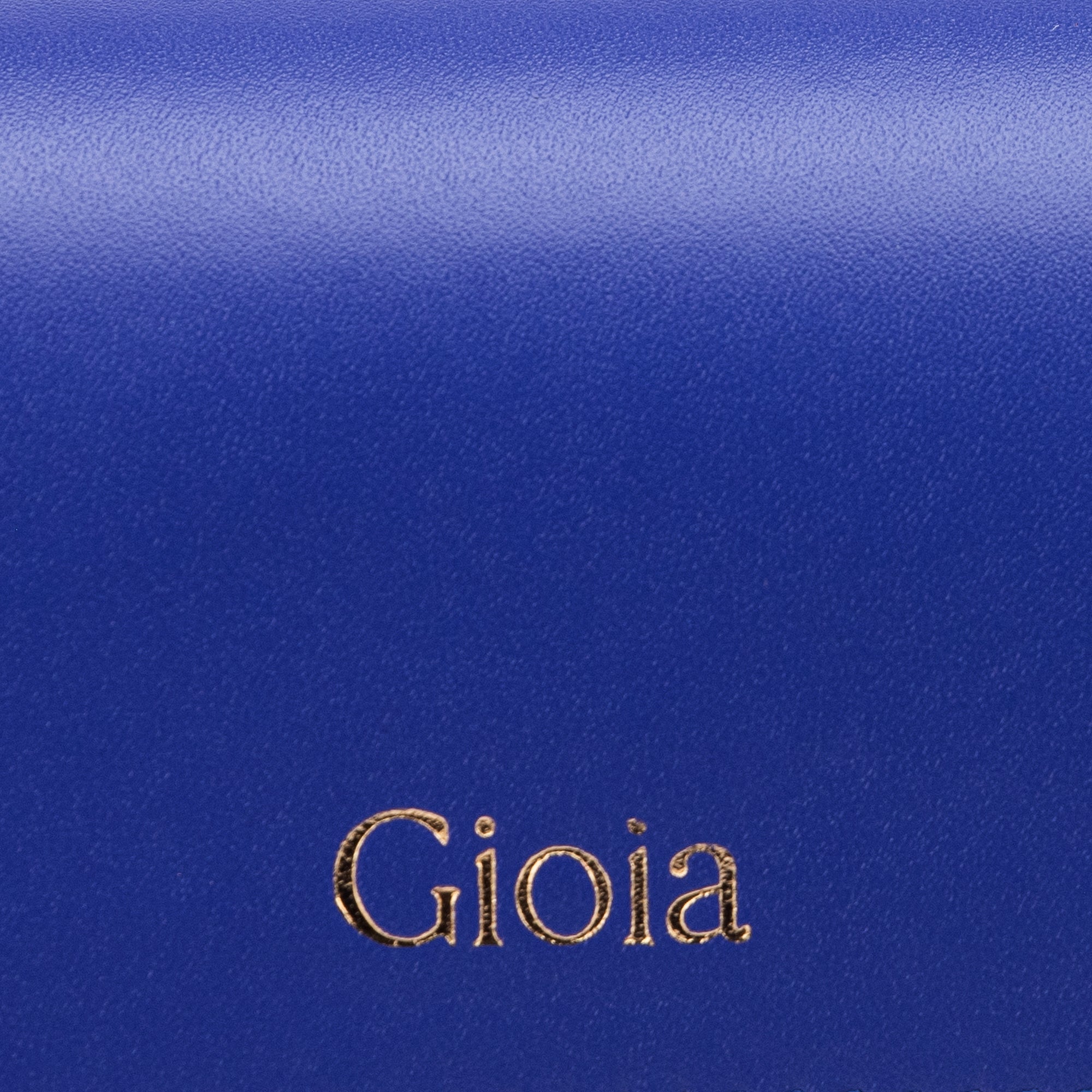 Luca Spectacle Case#Color_Gioia Blue