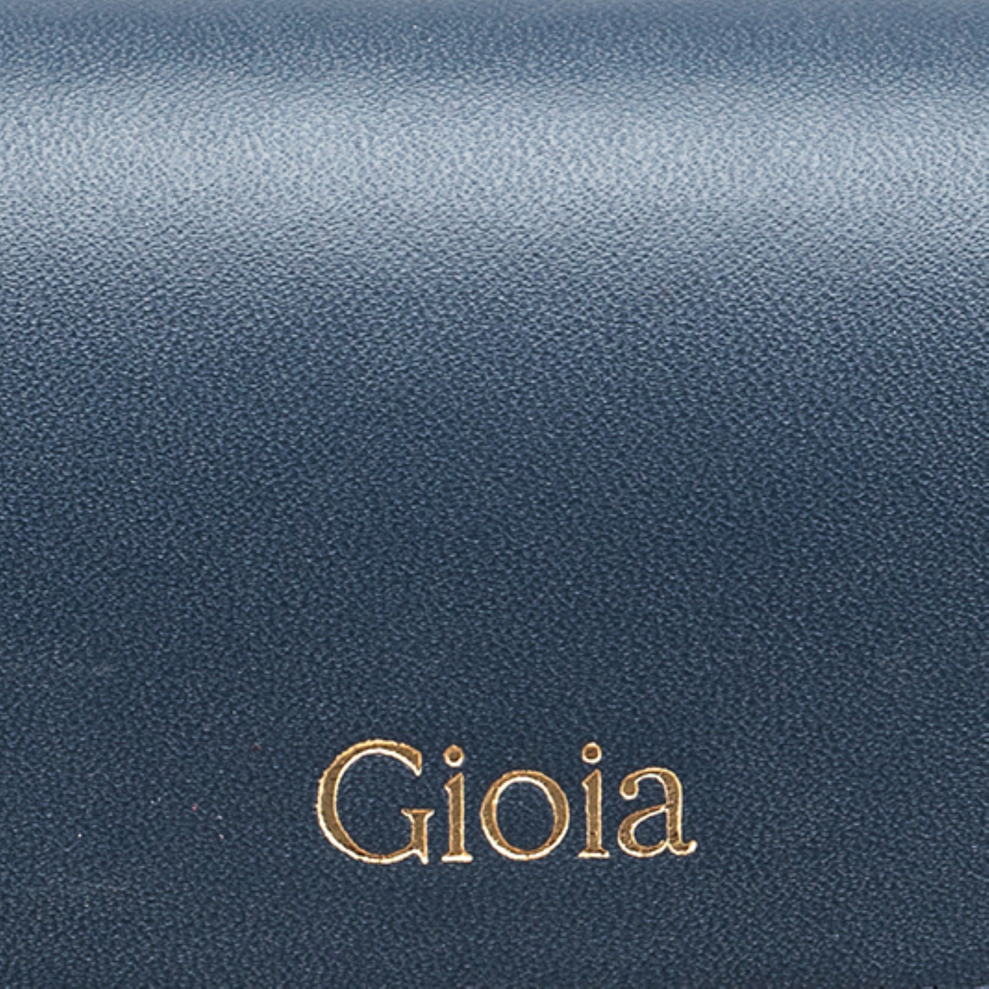 Luca Spectacle Case#Color_Navy