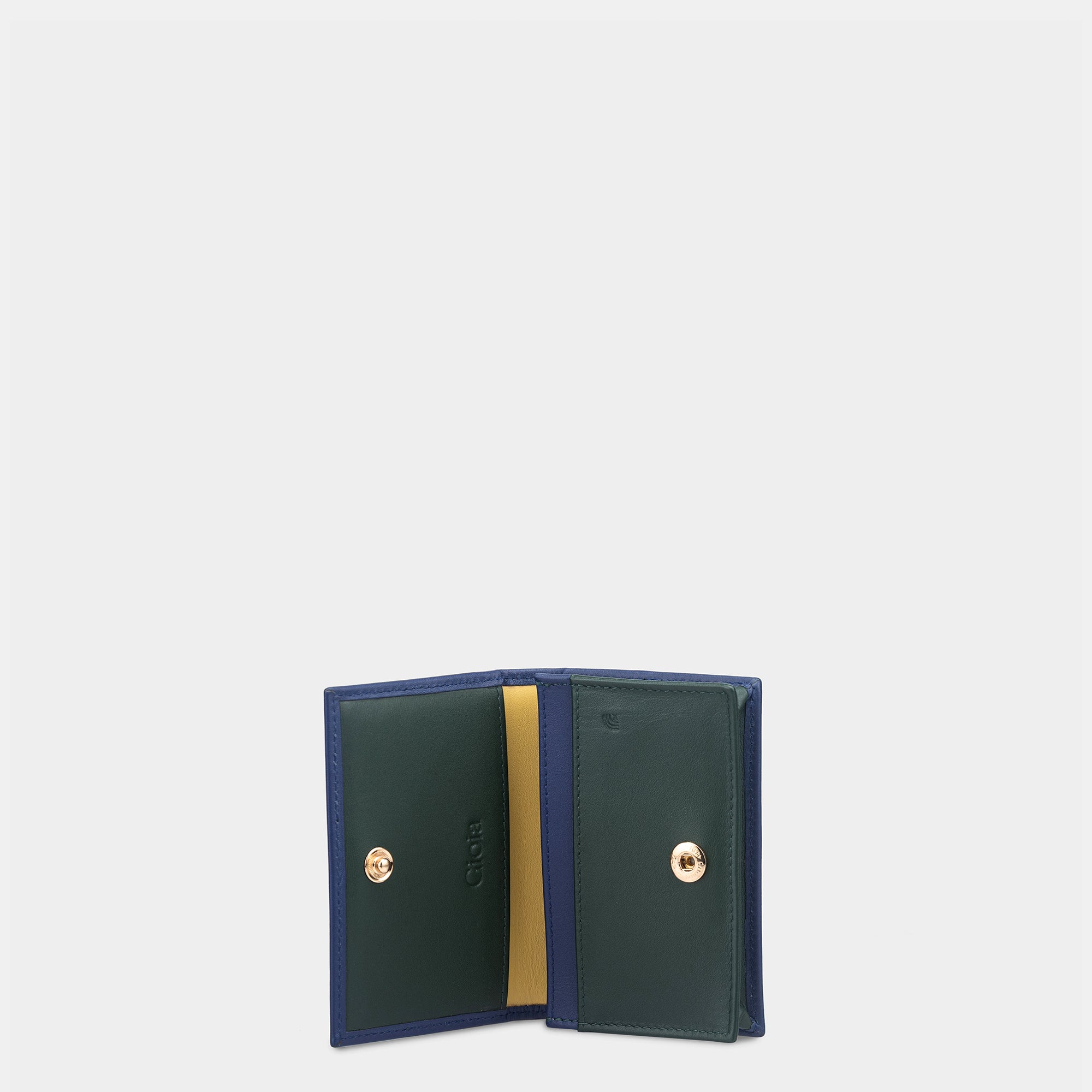 Multi-Color Card Case#Color_Blue