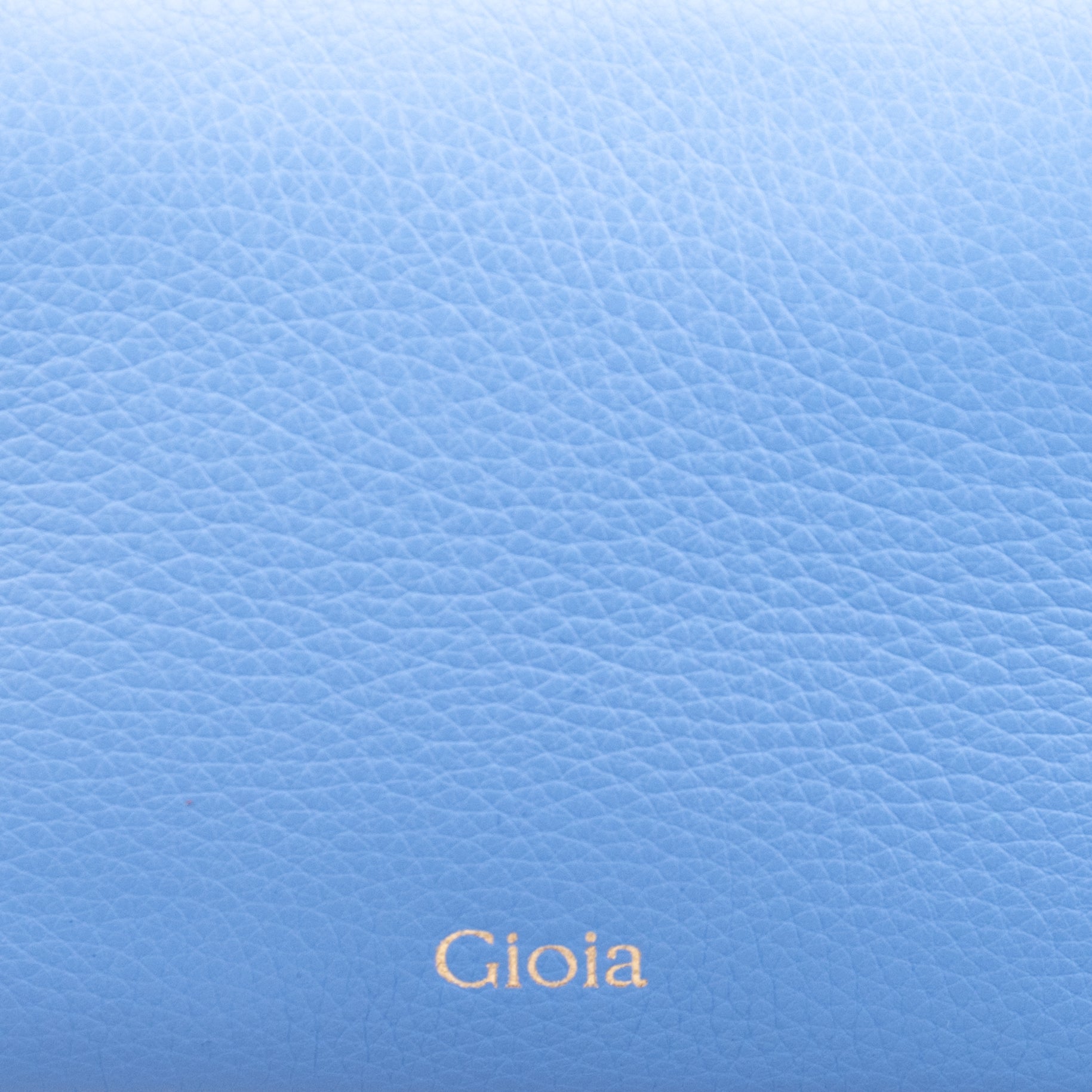 Everyday Travel Pouch Big#Color_Blue