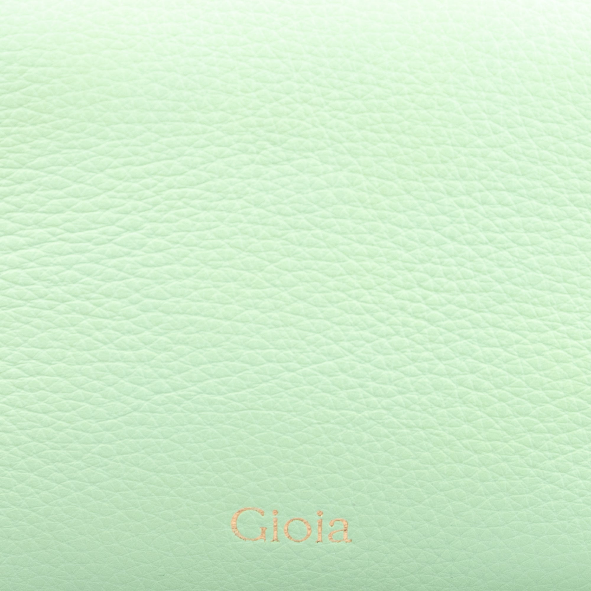 Everyday Travel Pouch Big#Color_Green