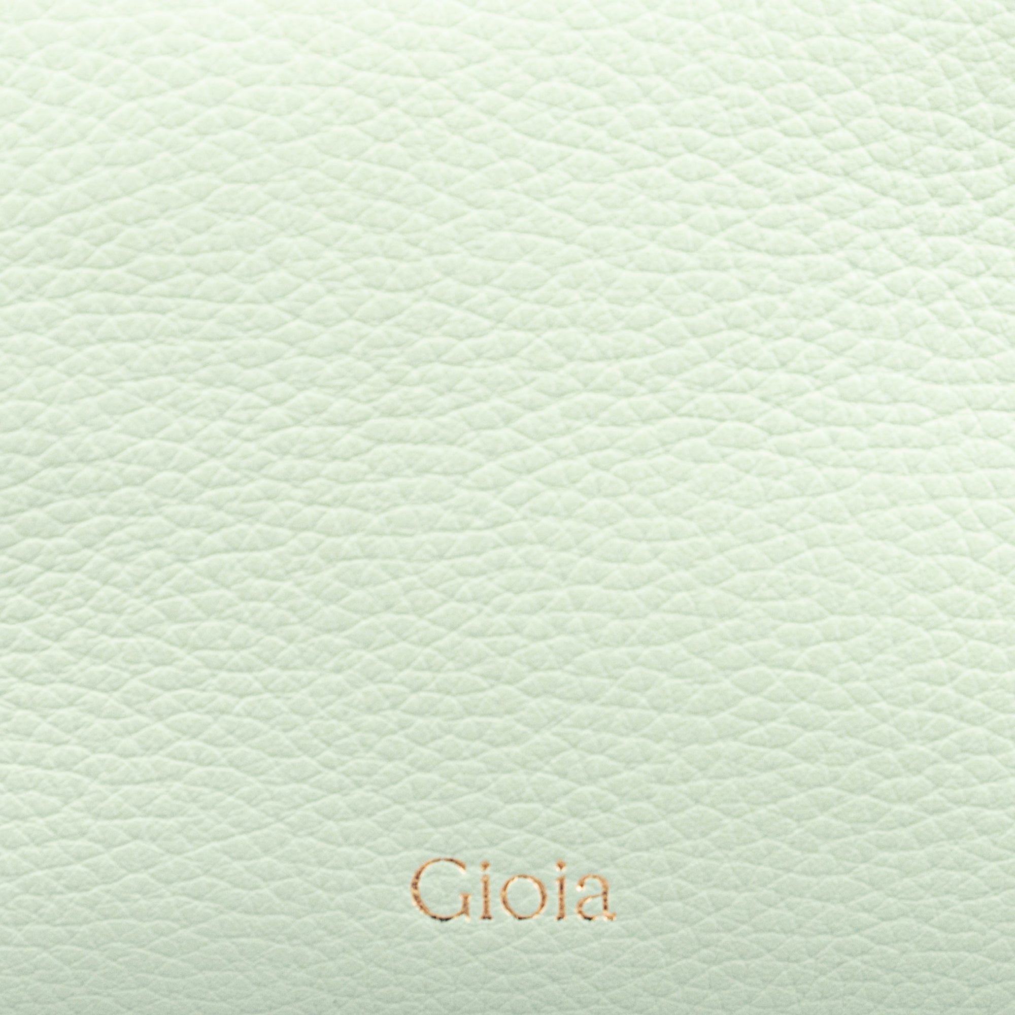 Everyday Travel Pouch Big#Color_Light Green