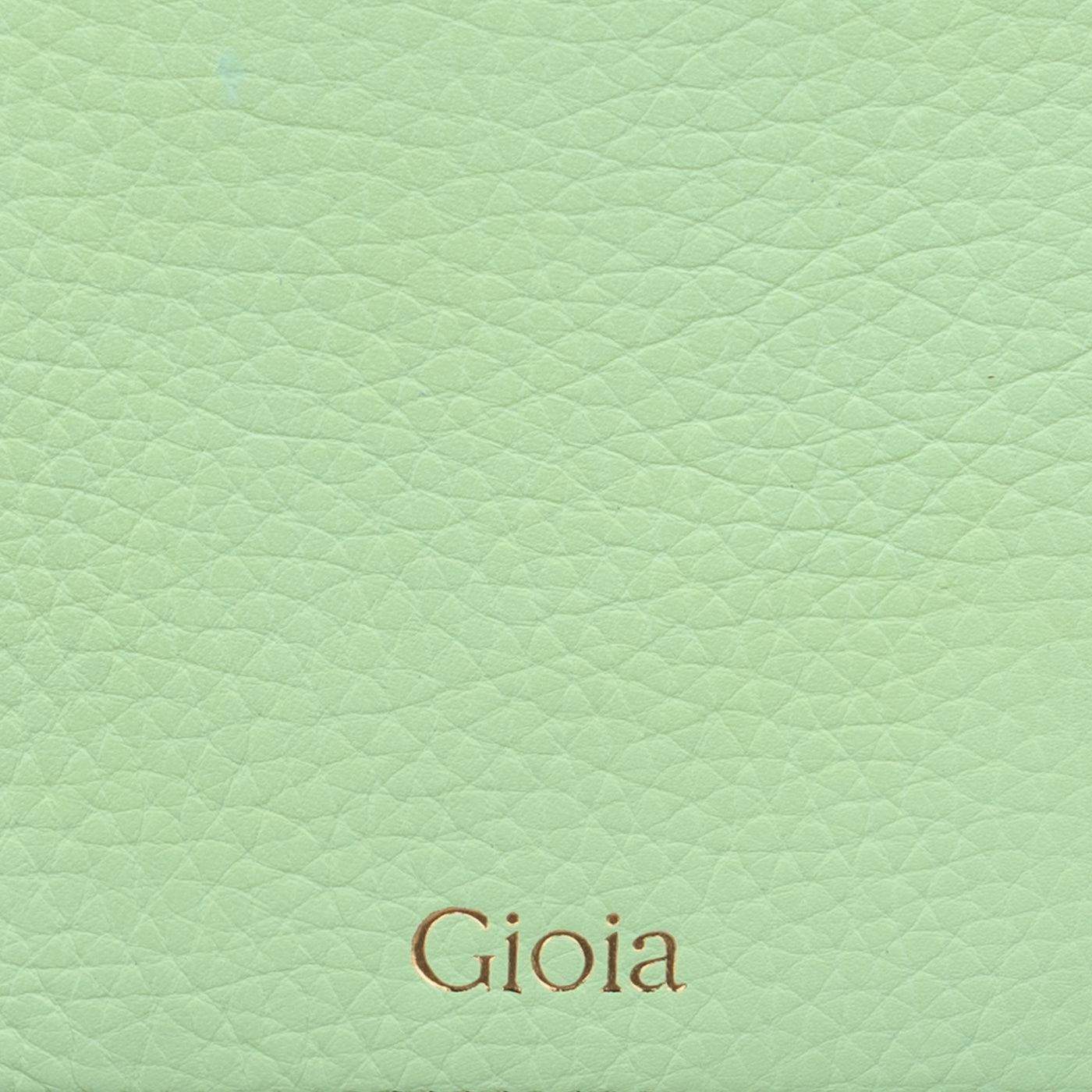 Rober Passport Holder#Color_Green