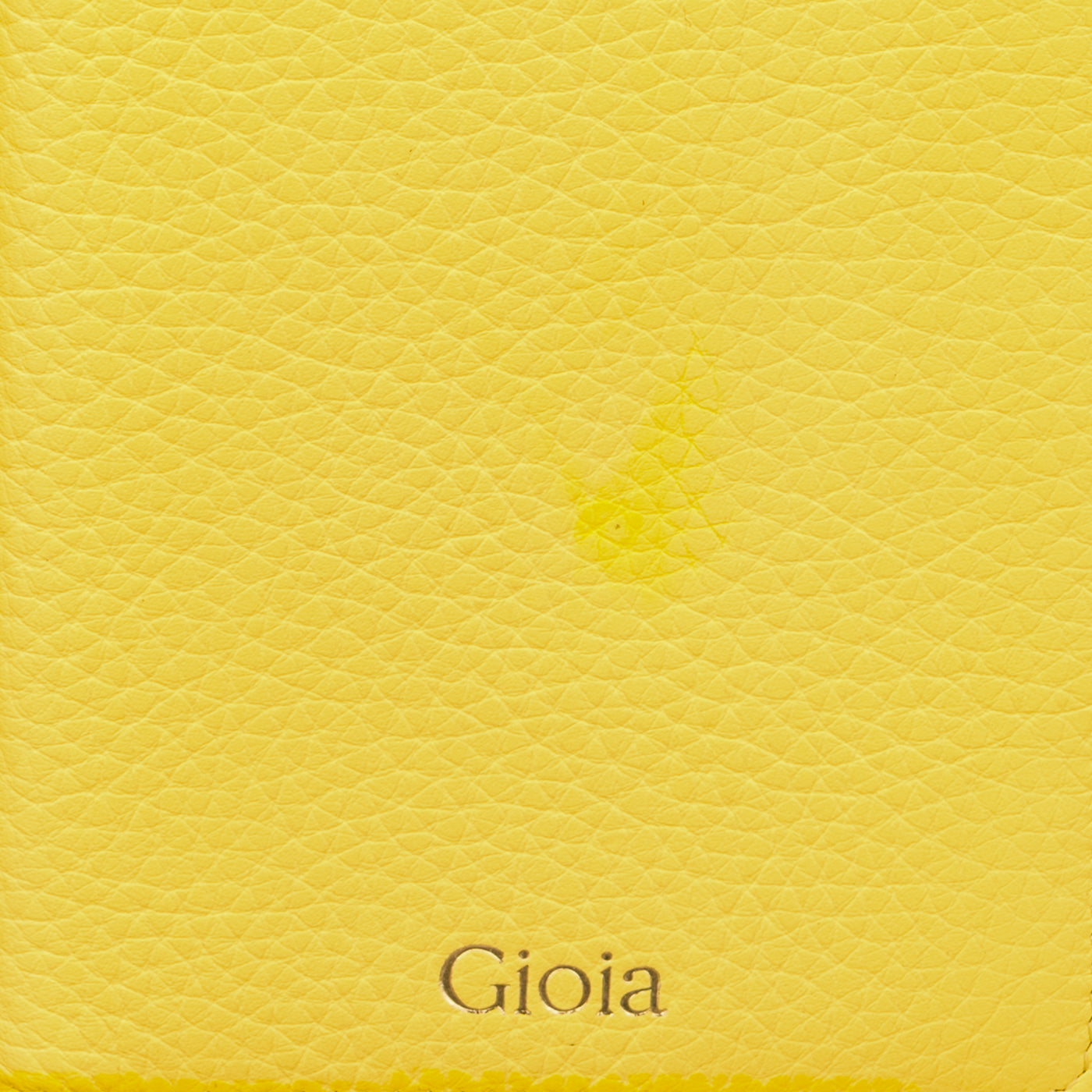 Rober Passport Holder#Color_Yellow
