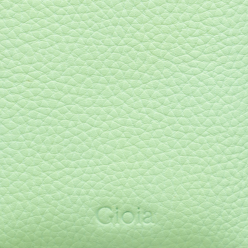 Rober Spectacle Case#Color_Light Green
