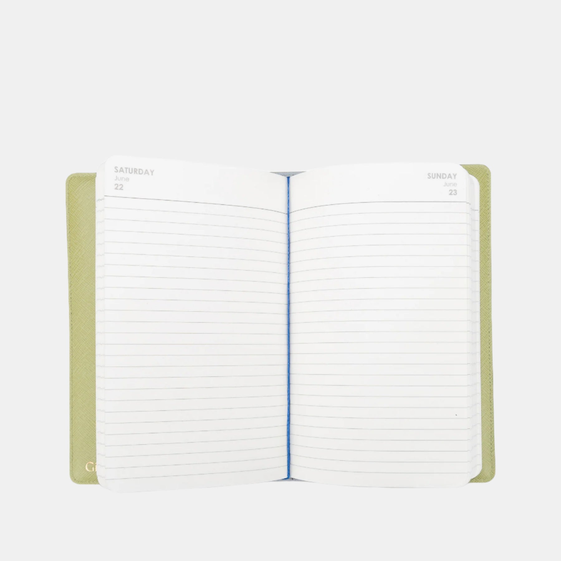 Saffiano Daily Planner 2026#Color_Green