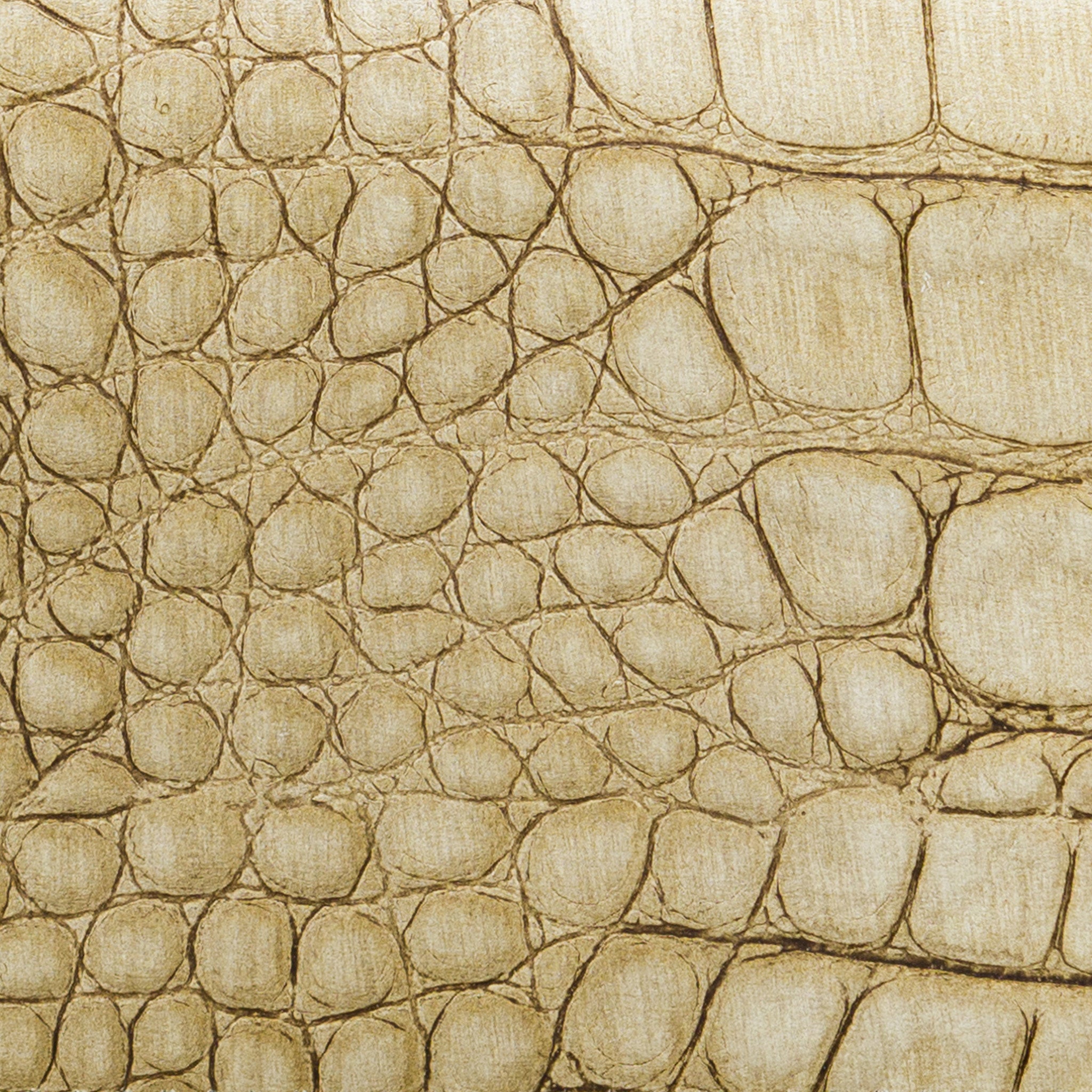 Lisa Croc Credit Card Case#Color_Green